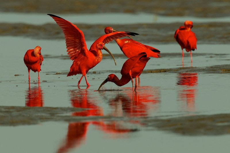 A look at ninewin uk